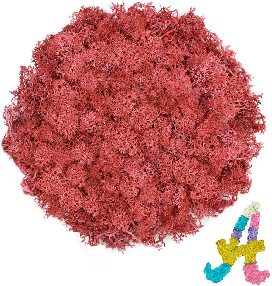 Preserved Reindeer Moss 3.5 OZ Red Natural for Crafts, DIY Gift Christmas Decor, Wall Art, Potted Plants, Floral Fake Moss for Easter Table Decor Wedding Decorative(3.5 OZ, Red)