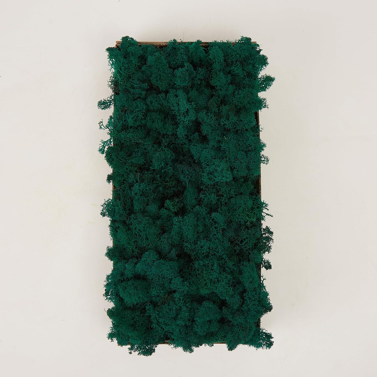 Preserved Reindeer Moss Natural Green DIY Kit Gardenning Art Wall Decor Florist Decor Easter Table Decor Wedding