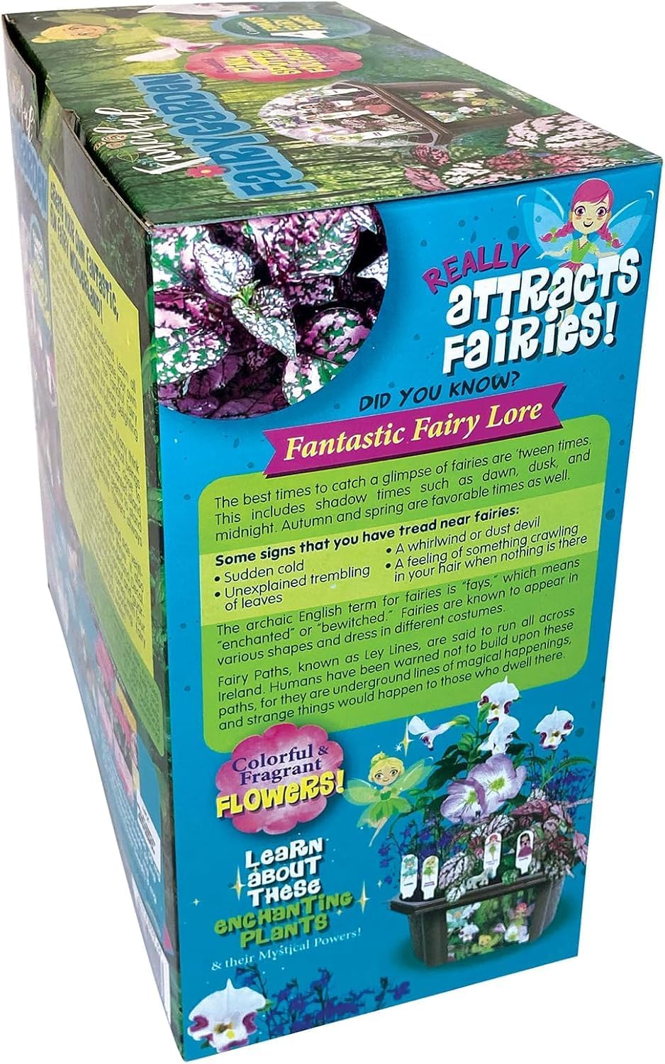 Toys by Nature Fanciful Fairy Biosphere Terrarium Starter Kit, Complete Supplies Included to Create Your Own Enchanting Garden and Indoor Plants! (Fanciful Fairy Garden)