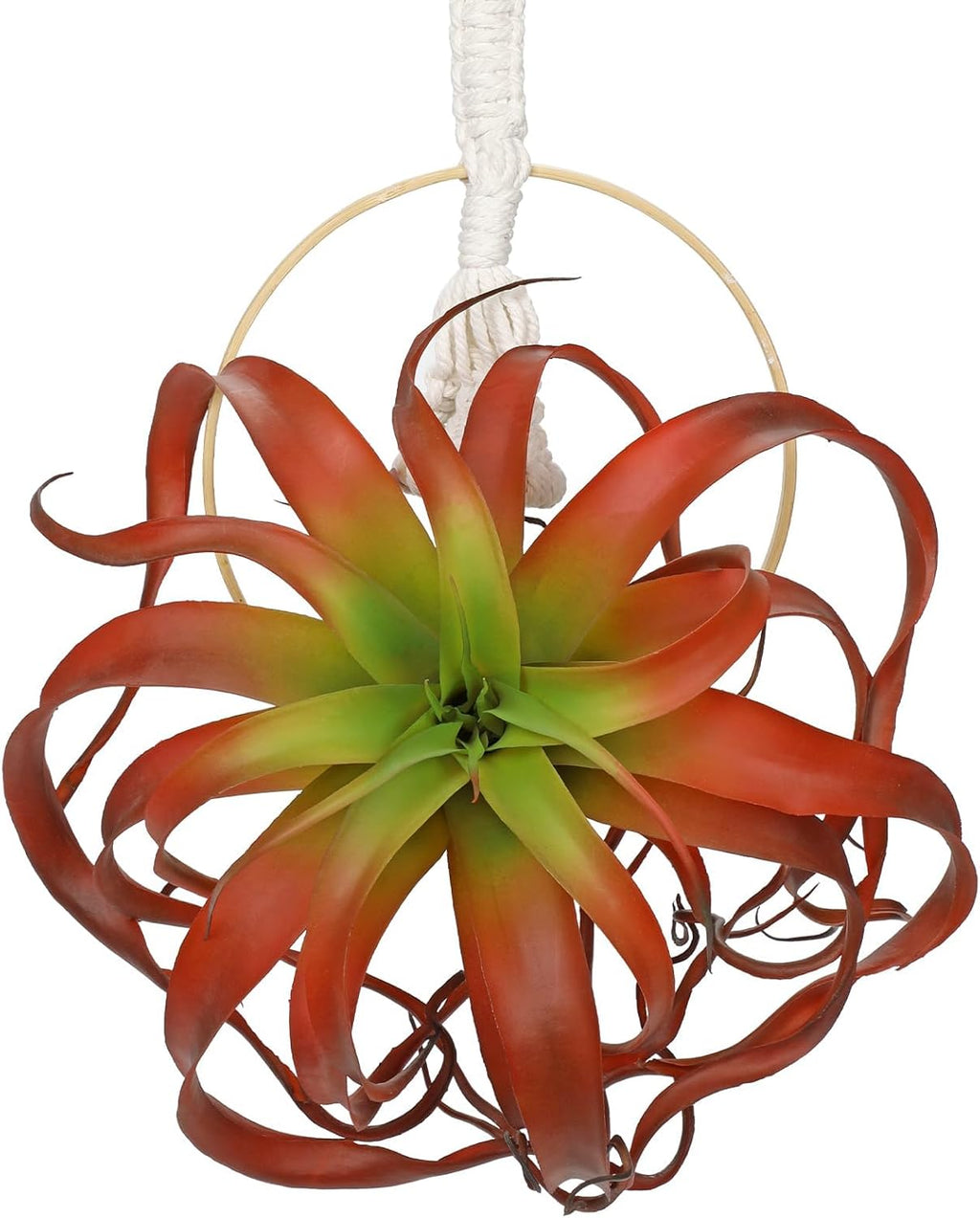 Artificial Fall Hanging Plant Fake Air Plants 11 Inch Burgundy Real Touch Lifelike Faux Succulents Plants for Home Garden Office Indoor Outdoor Decor Red