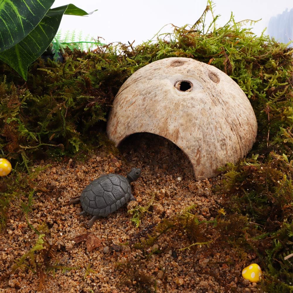 2 Pack Spider Coconut Shell Shelter, Hermit Crab Hideout, Lizard Hiding Cave, Turtle Rest Hut, Fish Tank Aquarium Decoration