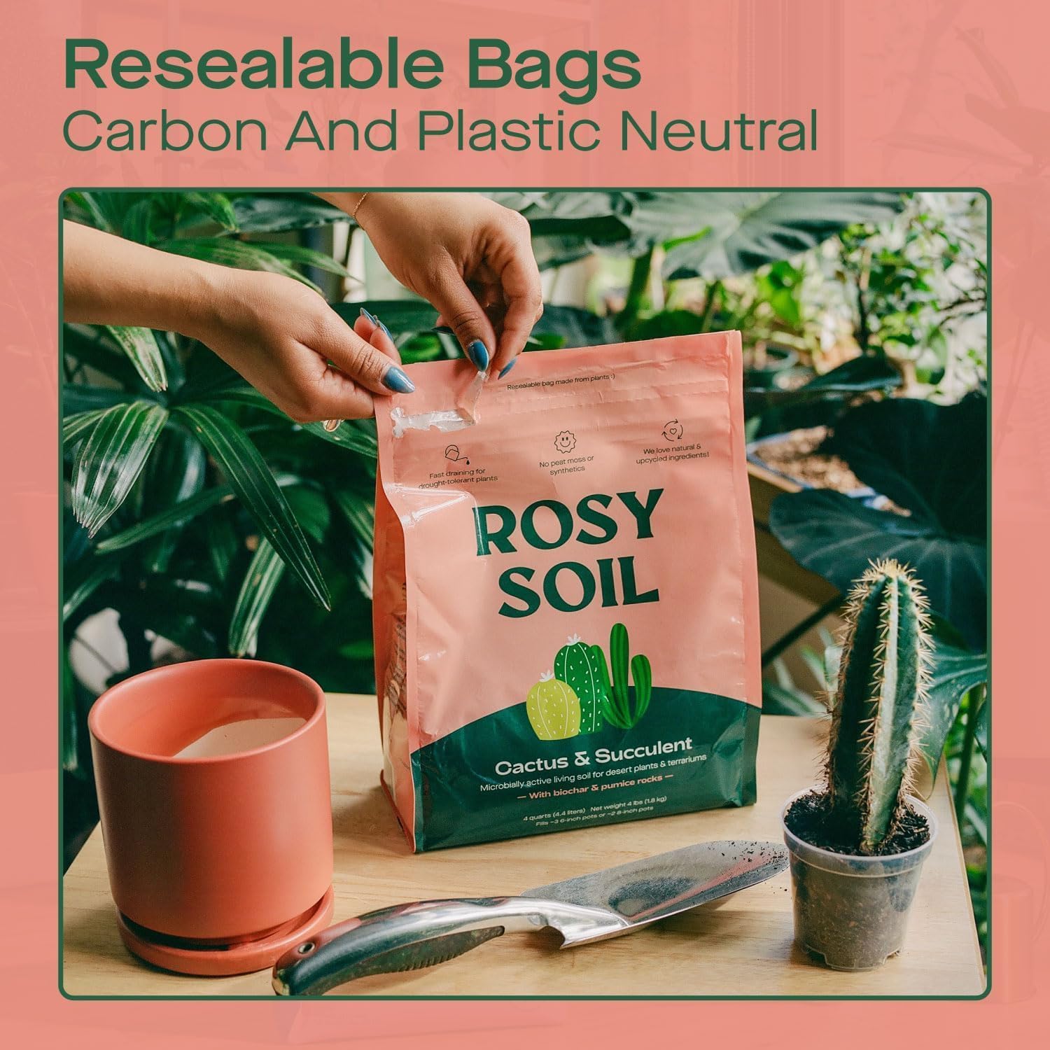 Rosy Soil Cactus and Succulent Potting Soil Mix for Houseplants - Fast Draining Organic Potting Soil for Succulents, AloeVera, Indoor Plant - Root Boosting for Drought Tolerant Growth, Pack of 2