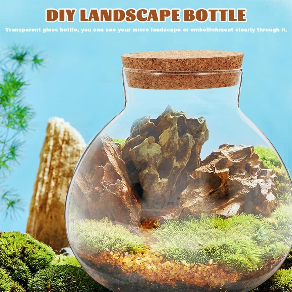 BESPORTBLE Round Glass Jars with Cork, Small Round Glass Dome Clear Cloche Globe Display Bell Jar Terrarium for Flower Dollhouse Mini Figure Collectible 2pcs 15cm
