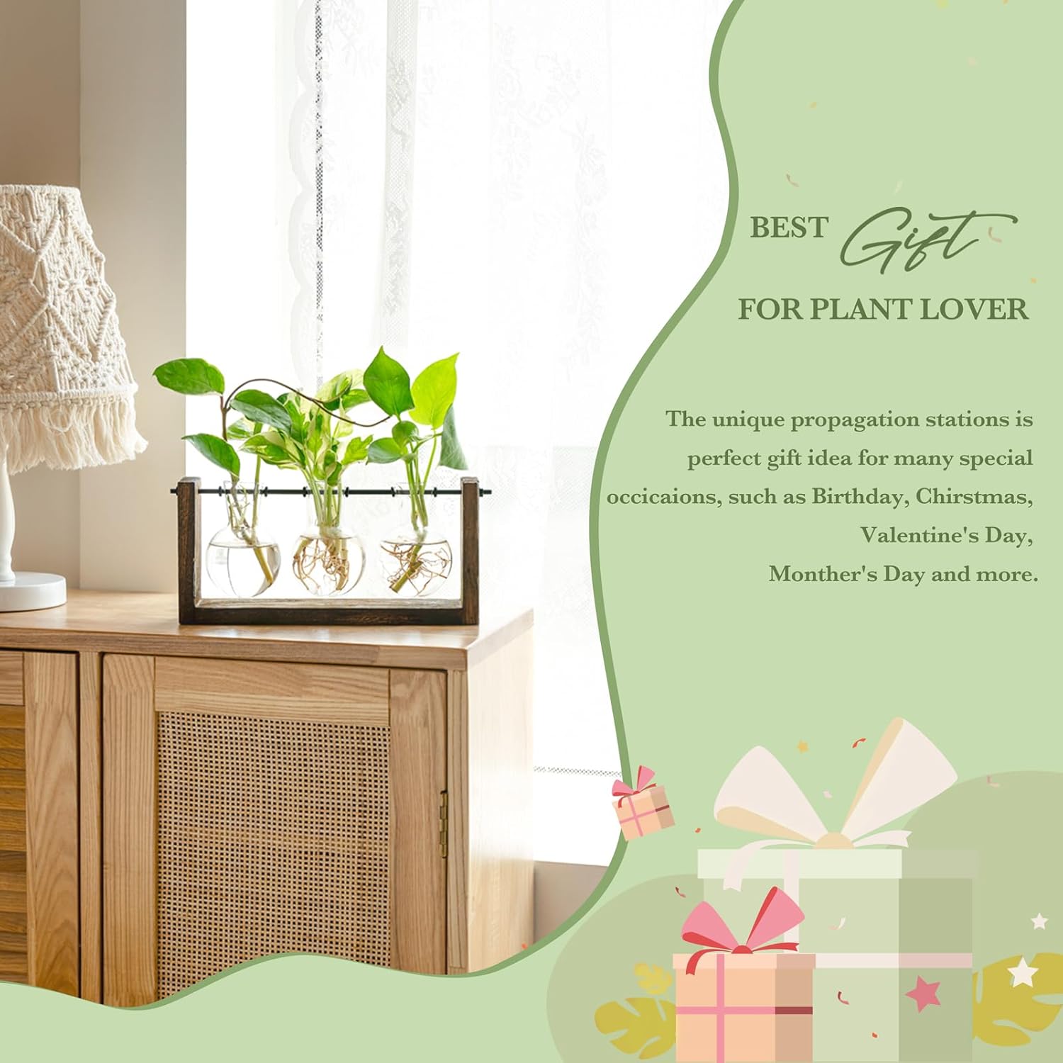 Mkono Plant Propagation Station with Wooden Stand, Wall Hanging Glass Planter Tabletop Terrarium Bulb Vase for Hydroponics Plants Home Office Decor