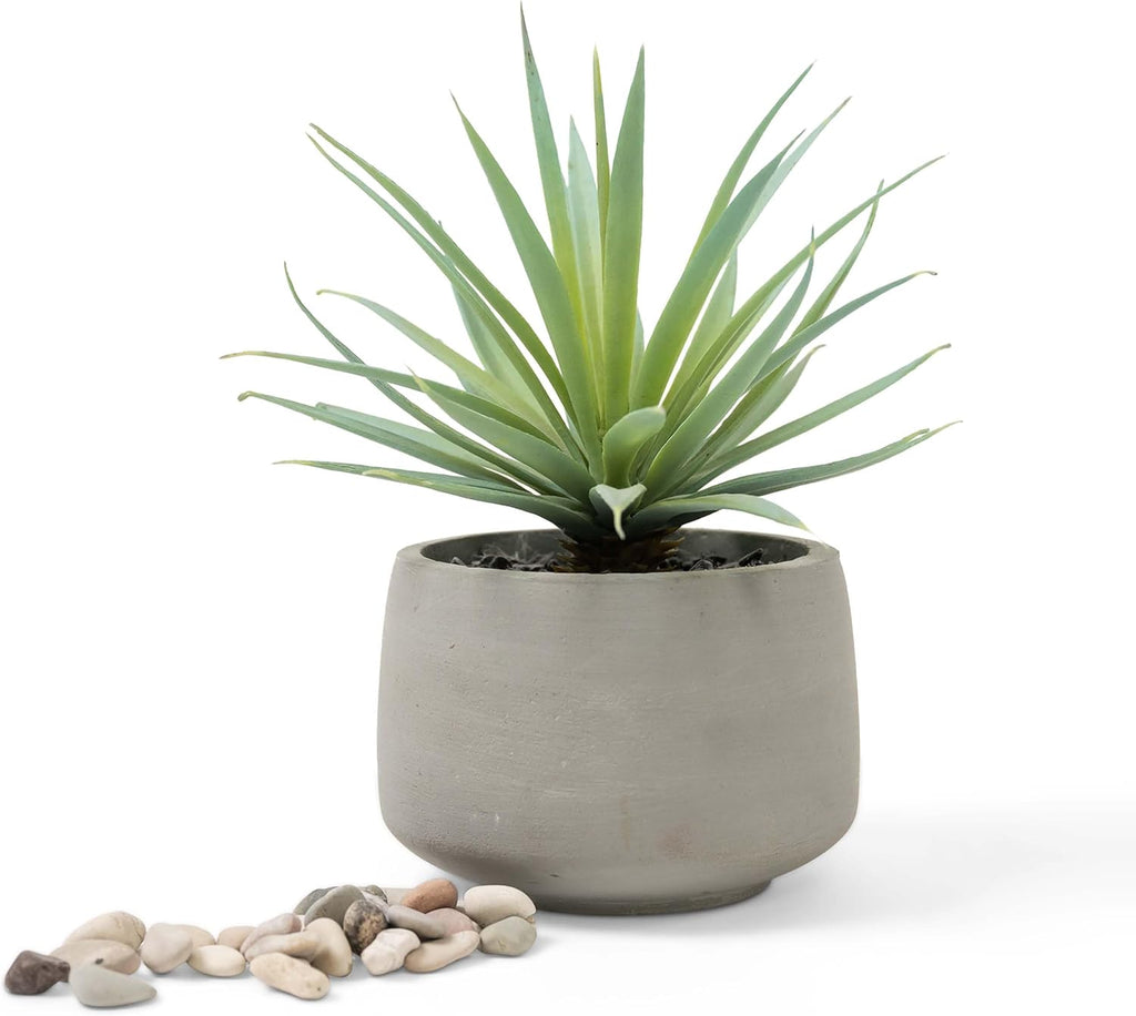Kurrajong Farmhouse Artificial Plant | 7" high Fake Plant | Artificial Succulent in Pot | Fake Succulent | Faux Plant Indoor | Faux Greenery Desk Decor