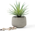 Kurrajong Farmhouse Artificial Plant | 7" high Fake Plant | Artificial Succulent in Pot | Fake Succulent | Faux Plant Indoor | Faux Greenery Desk Decor