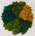 Preserved Reindeer Moss Natural Green DIY Kit Gardenning Art Wall Decor Florist Decor Easter Table Decor Wedding