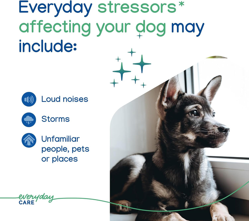 VIRBAC ZENIDOG Gel Diffuser - Dog Calming Pheromone Diffuser for Stress Relief No Electricity Required and Lasts up to 2 Months by Virbac