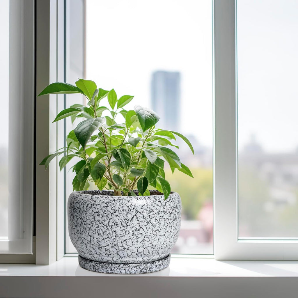 SQOWL Ceramic Planters - 10 Inch Ceramic Flower Pot with Drainage Hole and Saucer, Decorative Plant Pot Indoor, Round Large Planter Outdoor, Bathroom Decor, Gifts for Plant Lovers, Black and White