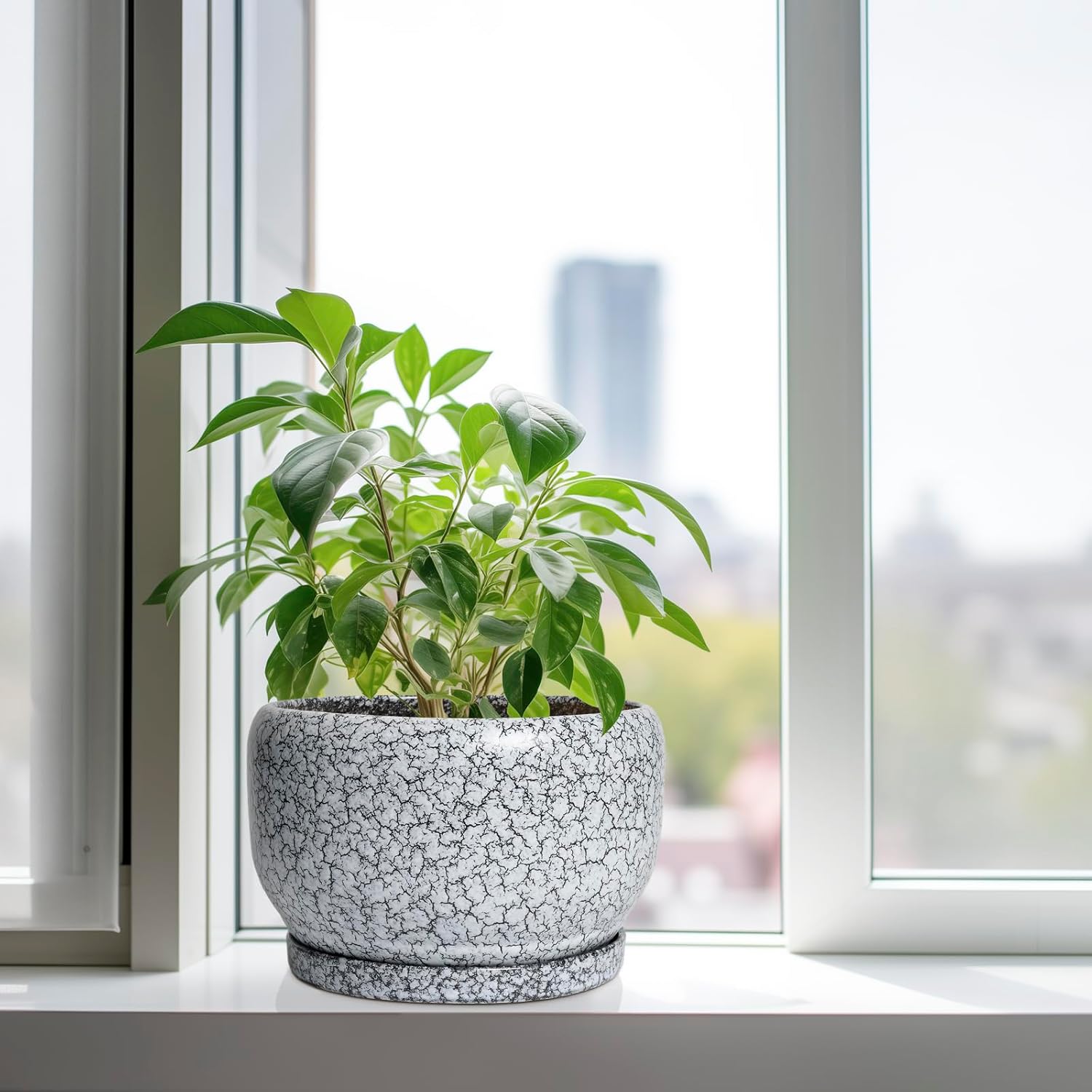 SQOWL Ceramic Planters - 10 Inch Ceramic Flower Pot with Drainage Hole and Saucer, Decorative Plant Pot Indoor, Round Large Planter Outdoor, Bathroom Decor, Gifts for Plant Lovers, Black and White