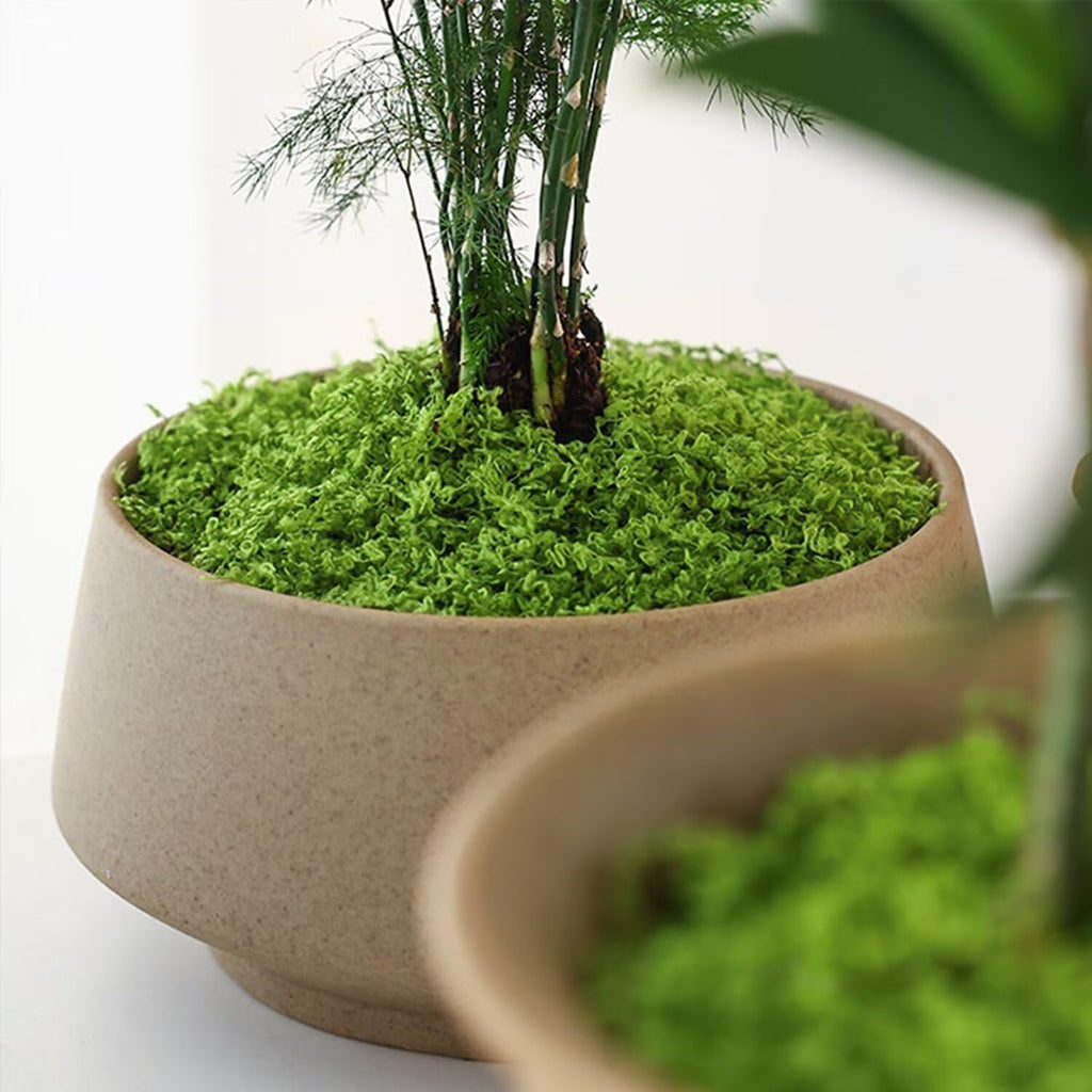 KEYUSHOP Fake Green Moss for Potted Plants 5.3 OZ Preserved Reindeer Moss Craft Decorative Artificial Moss for DIY Decorative Moss Table Centerpieces Decor Wall Art