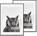 Fun Memories 18x24 Aluminum Poster Frame, 18 x 24 inch Metal Picture Frames with Real Glass Front, Displays 16x20 Photos with Mat or 18x24 Images without Mat - Black - Set of 2