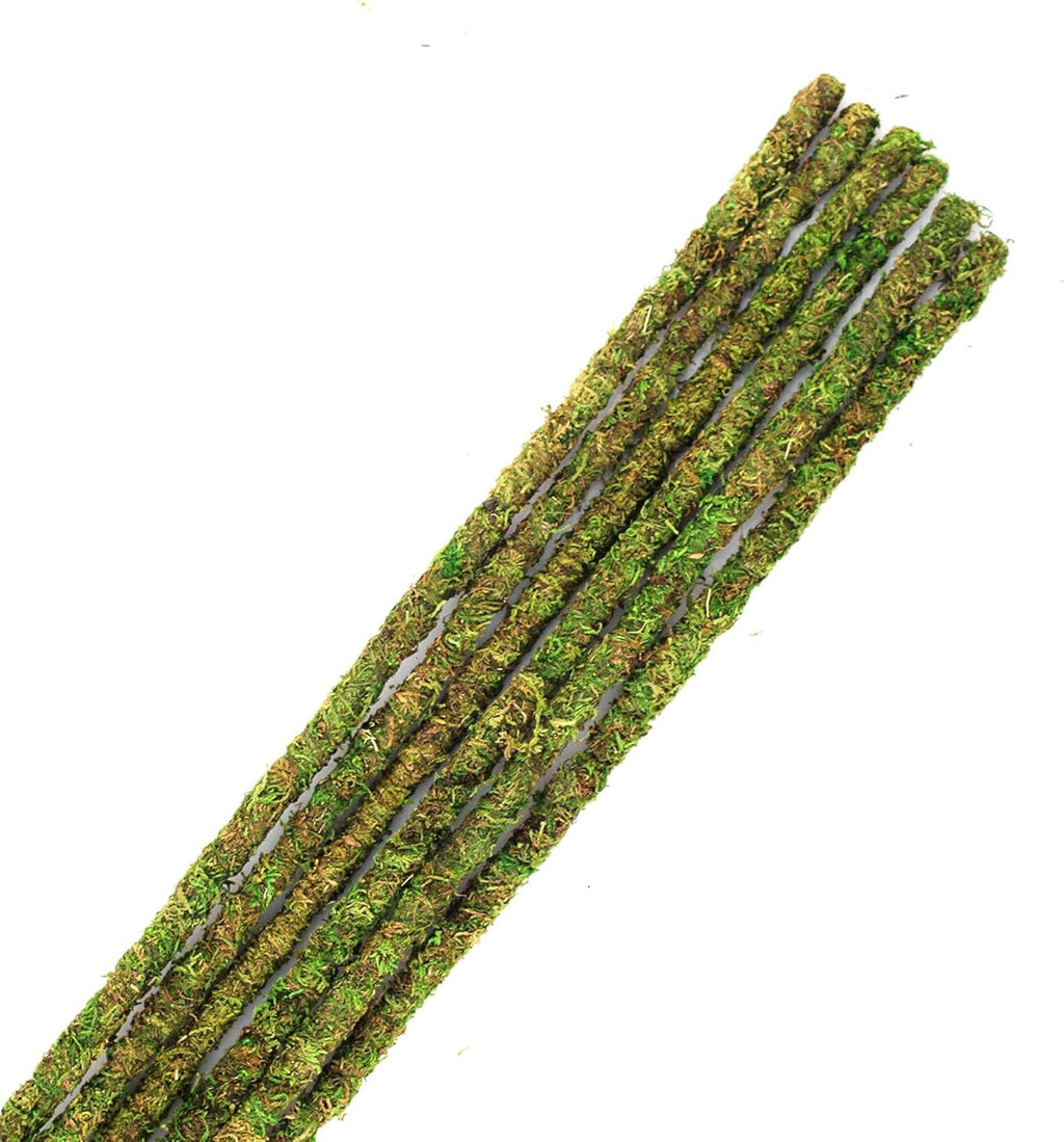 Galápagos (05320) Mossy Terrarium Sticks 18" (Pack of 6)