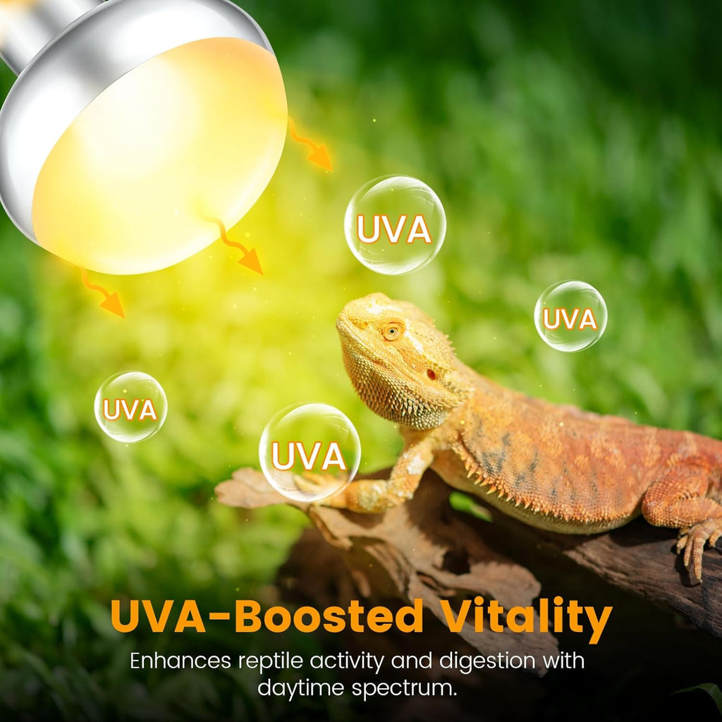 2-Pack 150W Reptile Heat Lamp Bulbs – UVA Daylight Basking Light for Bearded Dragons, Lizards, Turtles, E26 Base