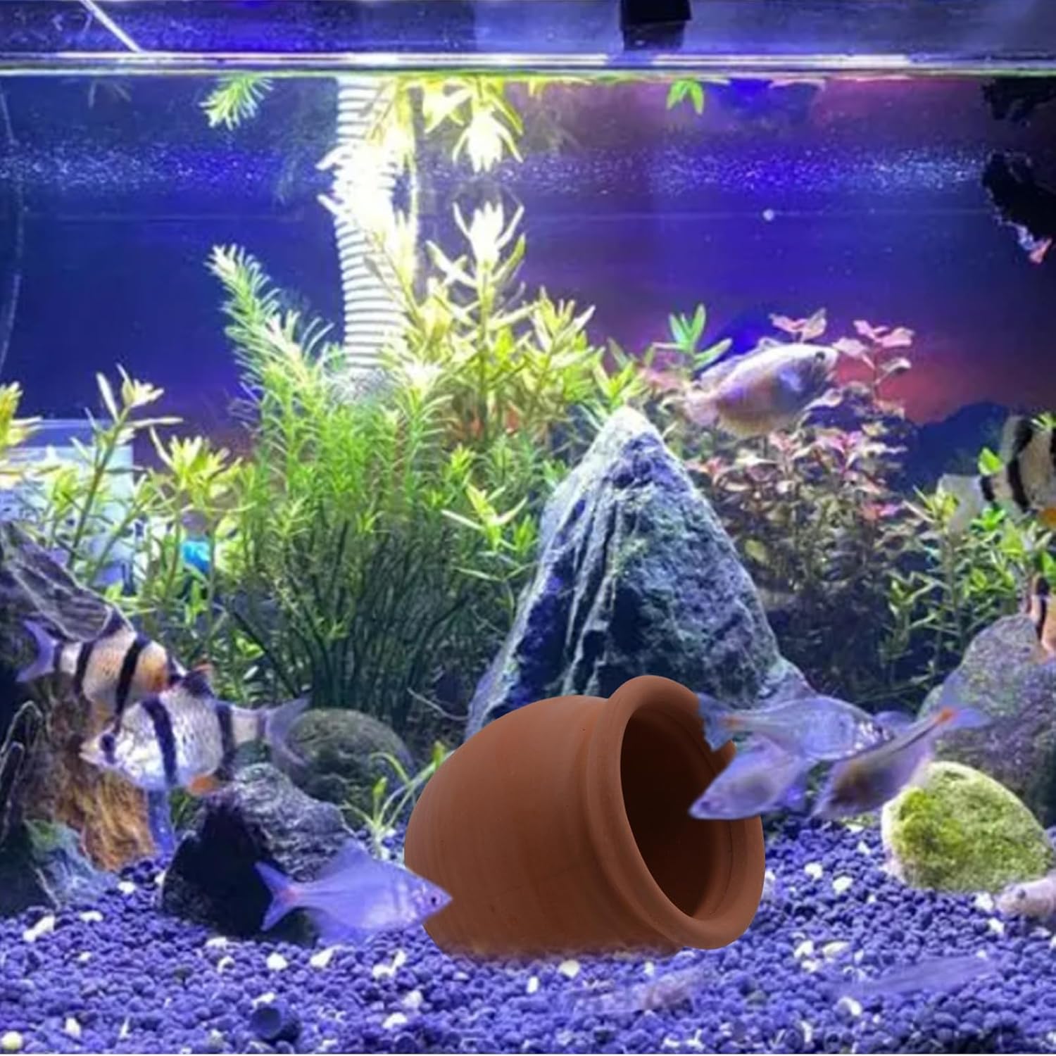 Betta Fish Tank Decor, Ceramic Jar Aquarium Decorations Cute Clay Pot Hideout Cave Ornaments for Small Fish, Shrimp, Cichlid to Play Hide Breed (Small)