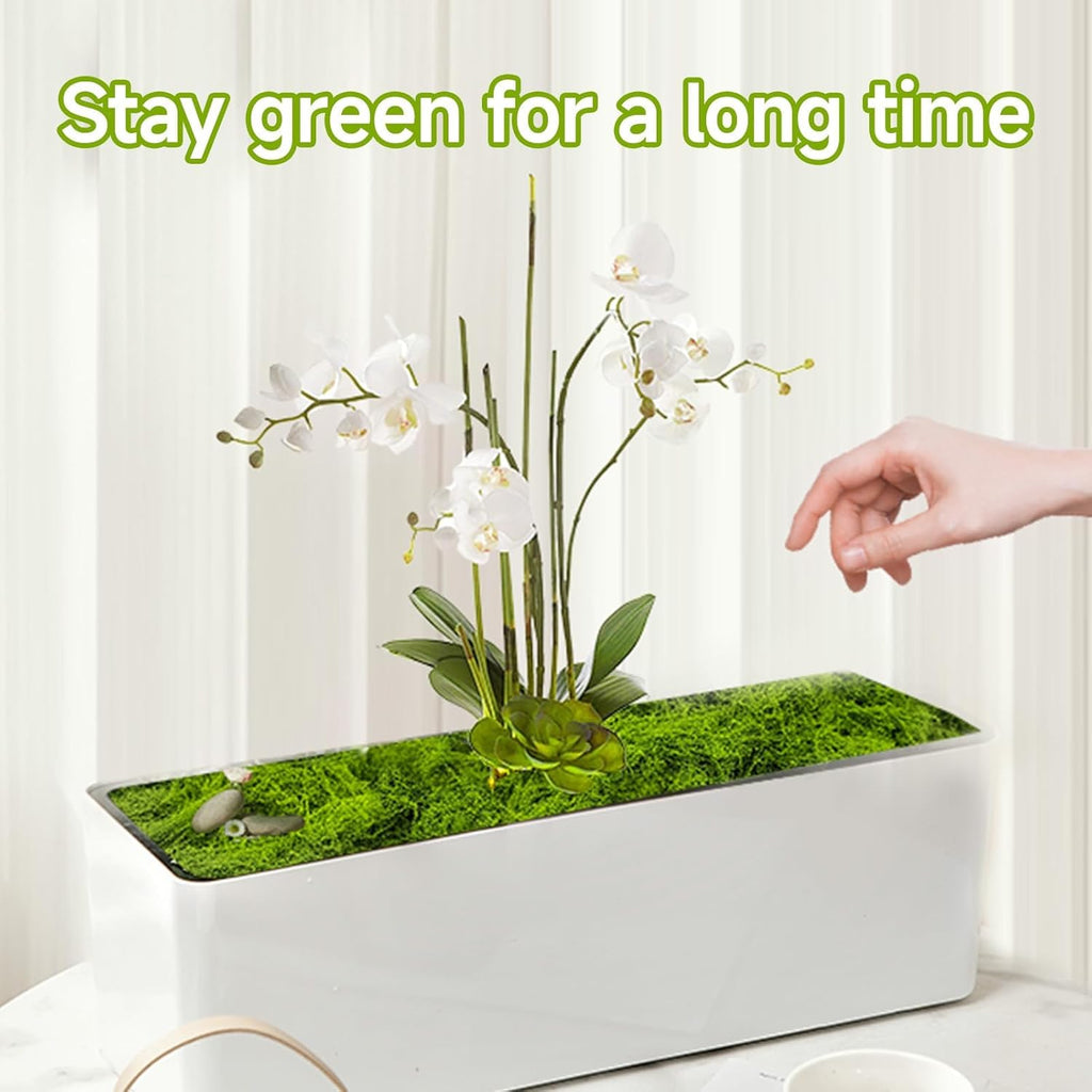 Aspamms Fake Green Moss for Potted Plants Indoor,10.6oz Artificial Moss for Crafts, Faux Moss Decor for Fairy Garden, DIY Decorative, Model Making, Walls, Glass Containers, Home