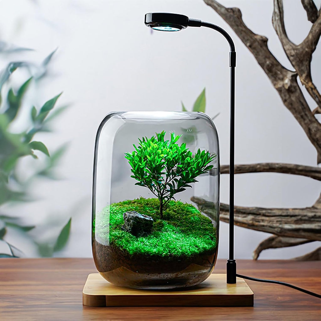 Glass Plant Terrarium Kit, 6.3"X8.6" Micro-Landscape Vase with Light, Snowman and Pine Trees, for Home Office Tabletop Decoration, Wardian, Unique