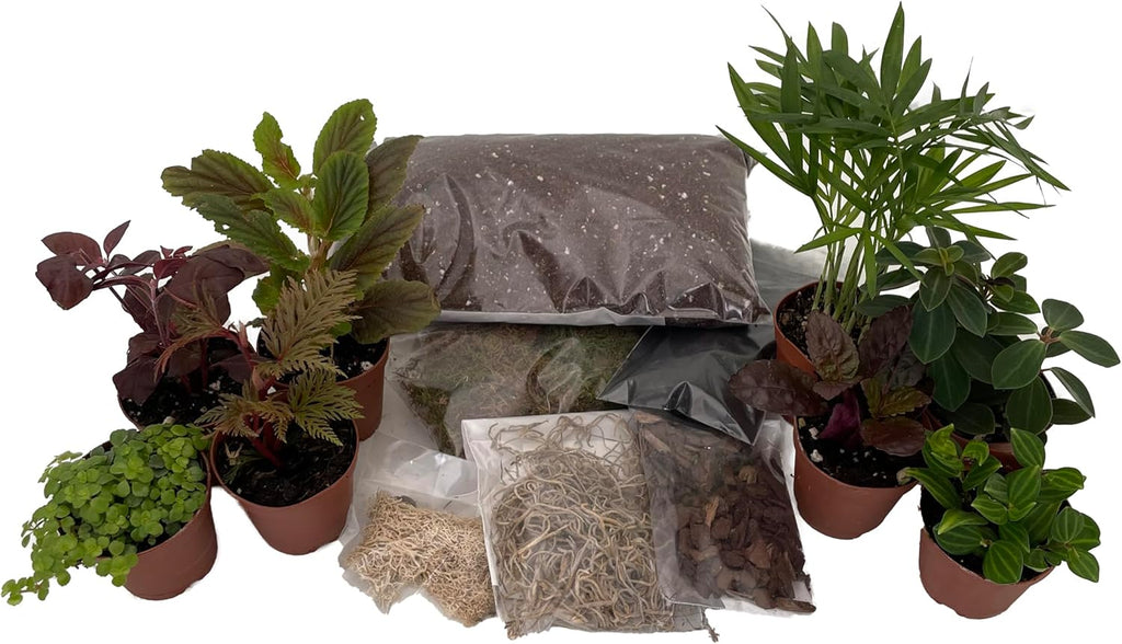 Hirt's Terrarium Kit with 8 Terrarium Plants in 2" Pots