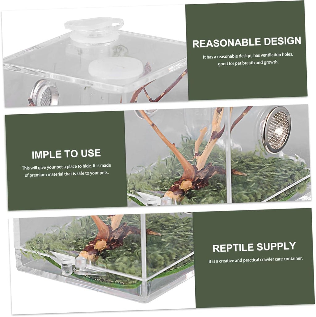 GANAZONO Transparent Acrylic Reptile Terrarium Box with Dropper and Forceps Pet Breeding Cage for Jumping Spiders and Small Insects Portable Habitat with Spacious Design and Easy