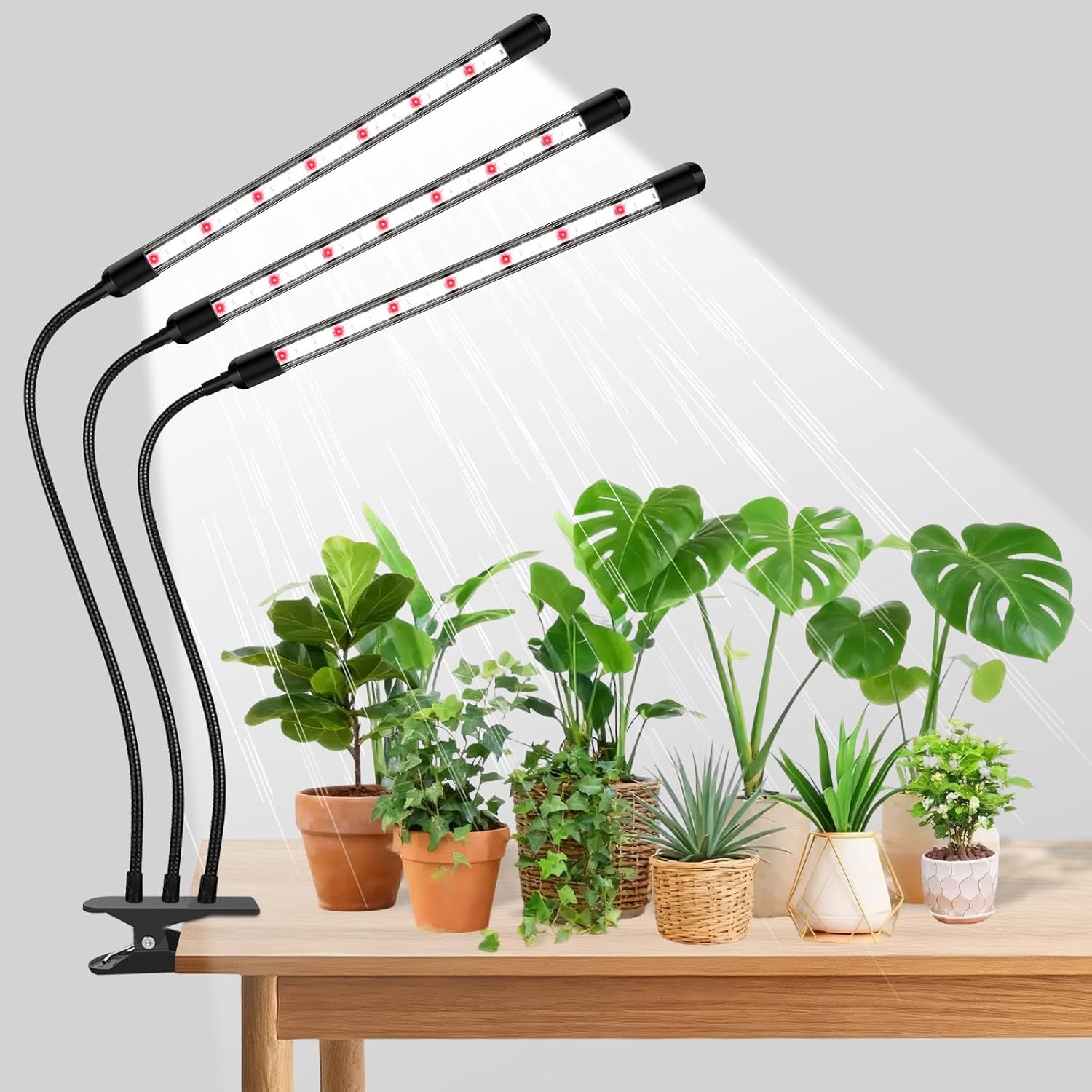 Tri-Head Clip Grow Light for Indoor Plants, Full Spectrum with 6/12/18H Timer, 5 Dimmable Levels, 3 Spectrum Modes & 360° Gooseneck for Seedlings, Houseplants, Succulents