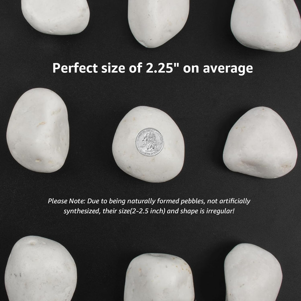 40 lbs White Polished Decorative Stones, 2-3 Inch Polished Rocks, Perfect for Outdoor Gardens, Pathways, Potted Plants, Vase Fillers, and Home Decor (Pure White, Weight: 40 LB)