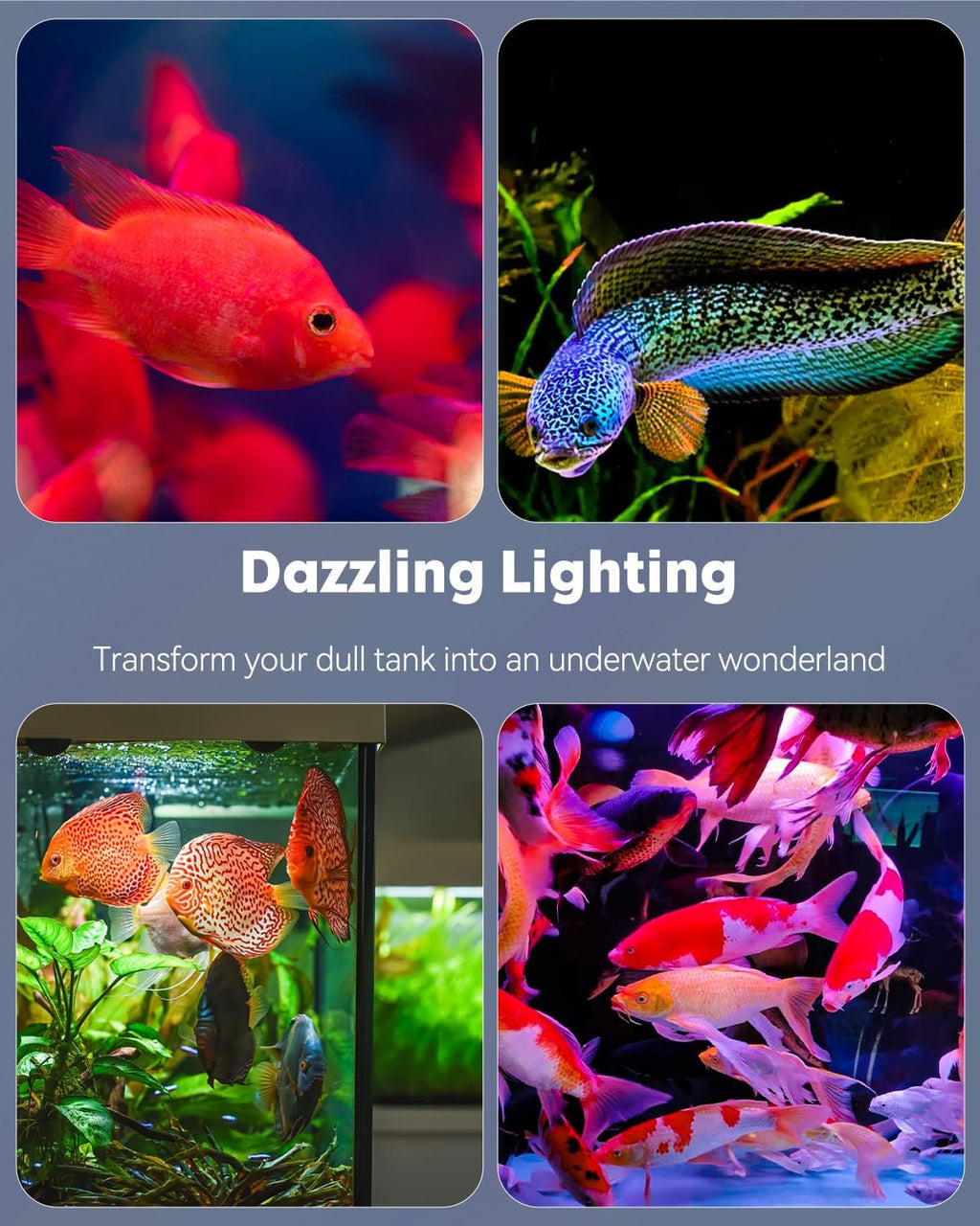 Pawfly 12 Inch 11 W Aquarium Color Enhancement Light for 13" to 22" Fish Tanks IPX8 Waterproof Aquarium LED Light Brilliant RGB Lights with 7 Single Color Effects Timer & Adjustable Brightness