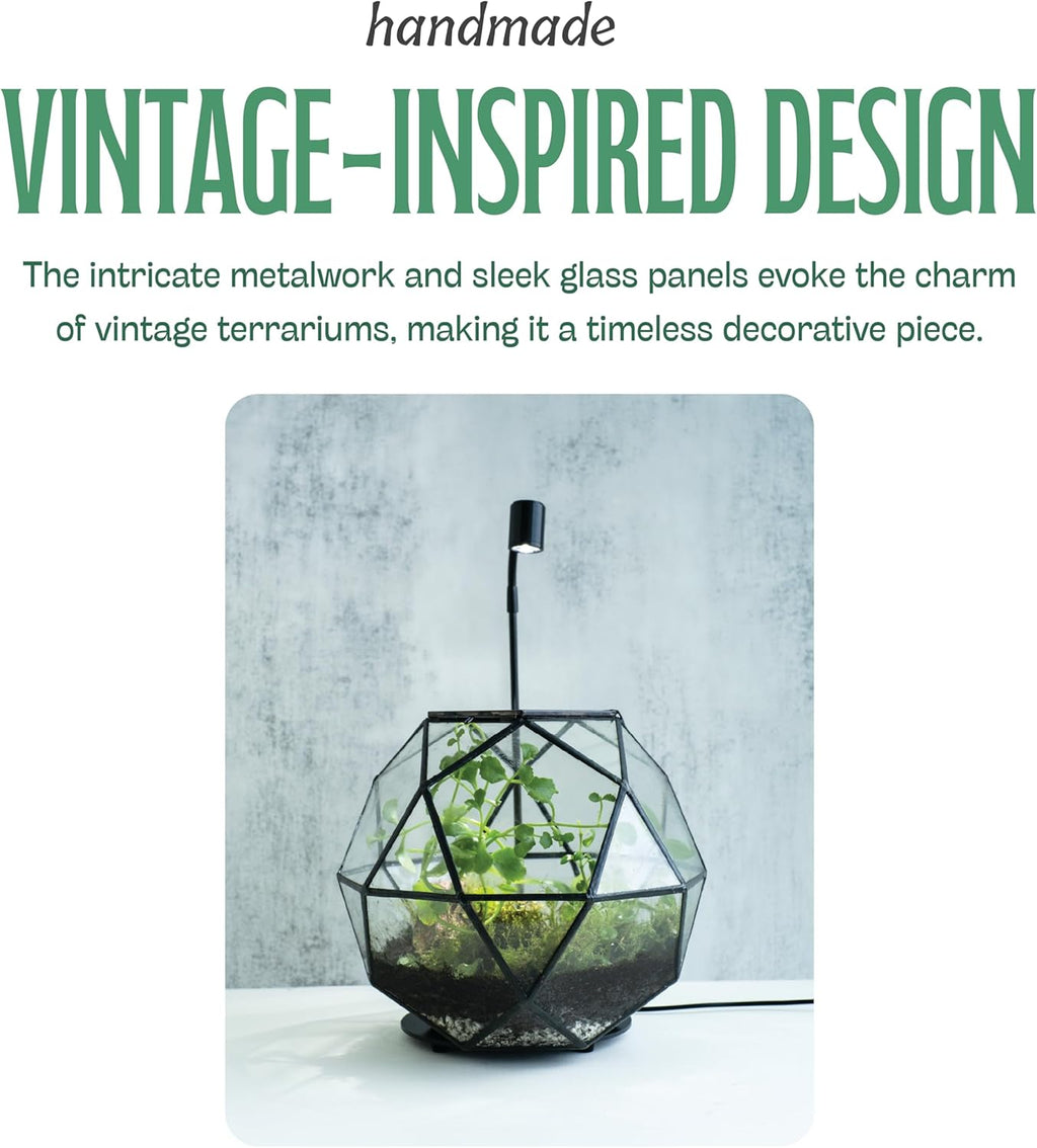 KraftStories Clear Glass Terrarium with Door | Sphere Design Container | Ideal Planter for Moss and Indoor Plants | Maintains Humidity | Self-Sustaining Indoor Garden Ecosystem (Only Terrarium)