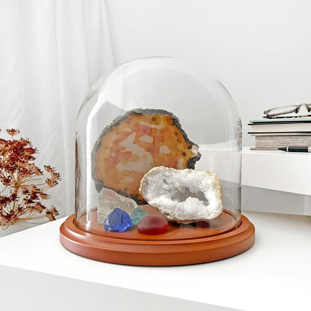 Plymor 8" x 8" Glass Display Dome Cloche (Walnut MDF Base)