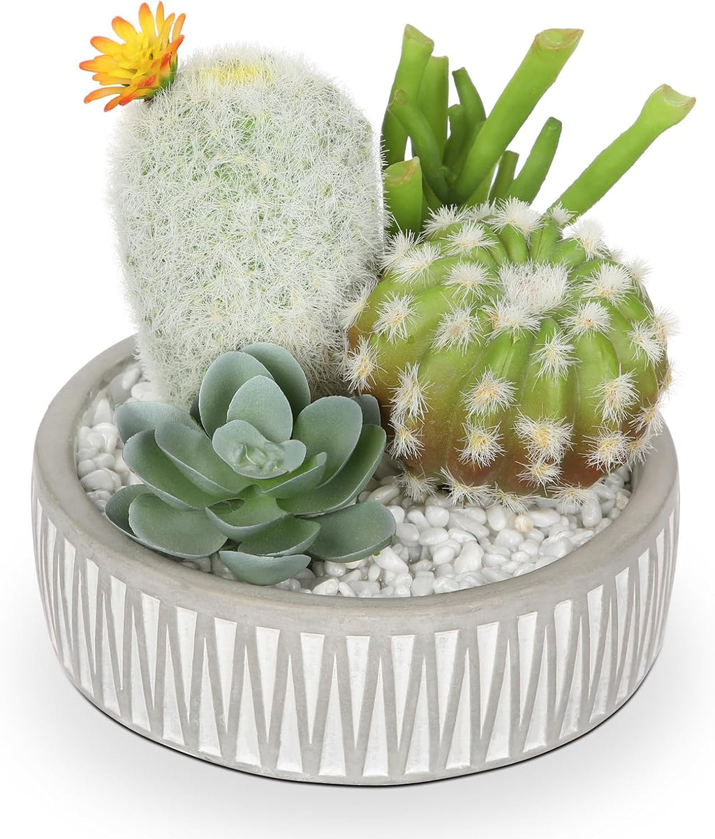 Artificial Cactus Plants Indoor, 5.5" Assorted Small Faux Succulent in Pots Fake Potted Desk Plant with Concrete Bowl Mini Succulents Artificial Cactus Decor for Home Office Bathroom Table Shelf