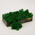 Preserved Reindeer Moss Natural Green DIY Kit Gardenning Art Wall Decor Florist Decor Easter Table Decor Wedding