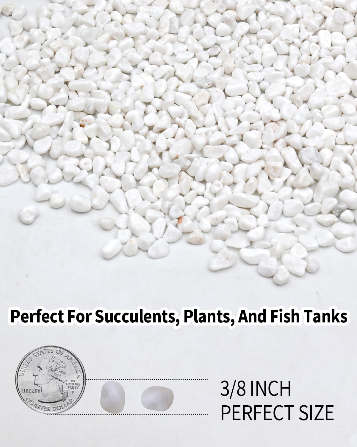 3LB White Succulent & Cactus Gravel Pebbles - 1/4-3/8 Inch Natural Polished River Rocks, Decorative Stones for Plants, Terrariums, Vases, Aquariums & Outdoor Gardening
