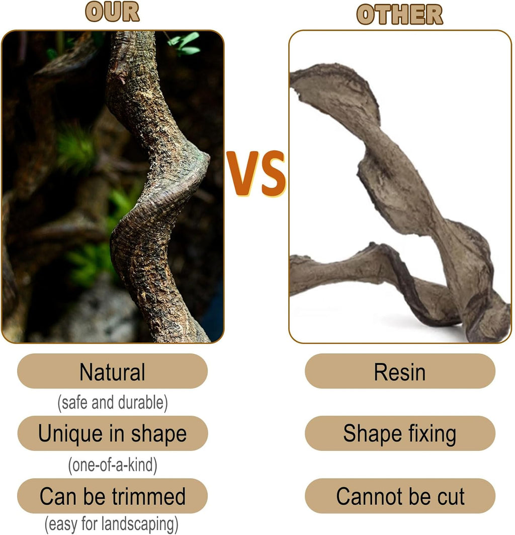 BNOSDM Reptile Forest Climbing Branch Decor 6PCS Crested Gecko Climb Wood Natural Branches Tree for Snake Frog Chameleon Spider Bearded Dragon Terrarium Habitat Tank Accessories