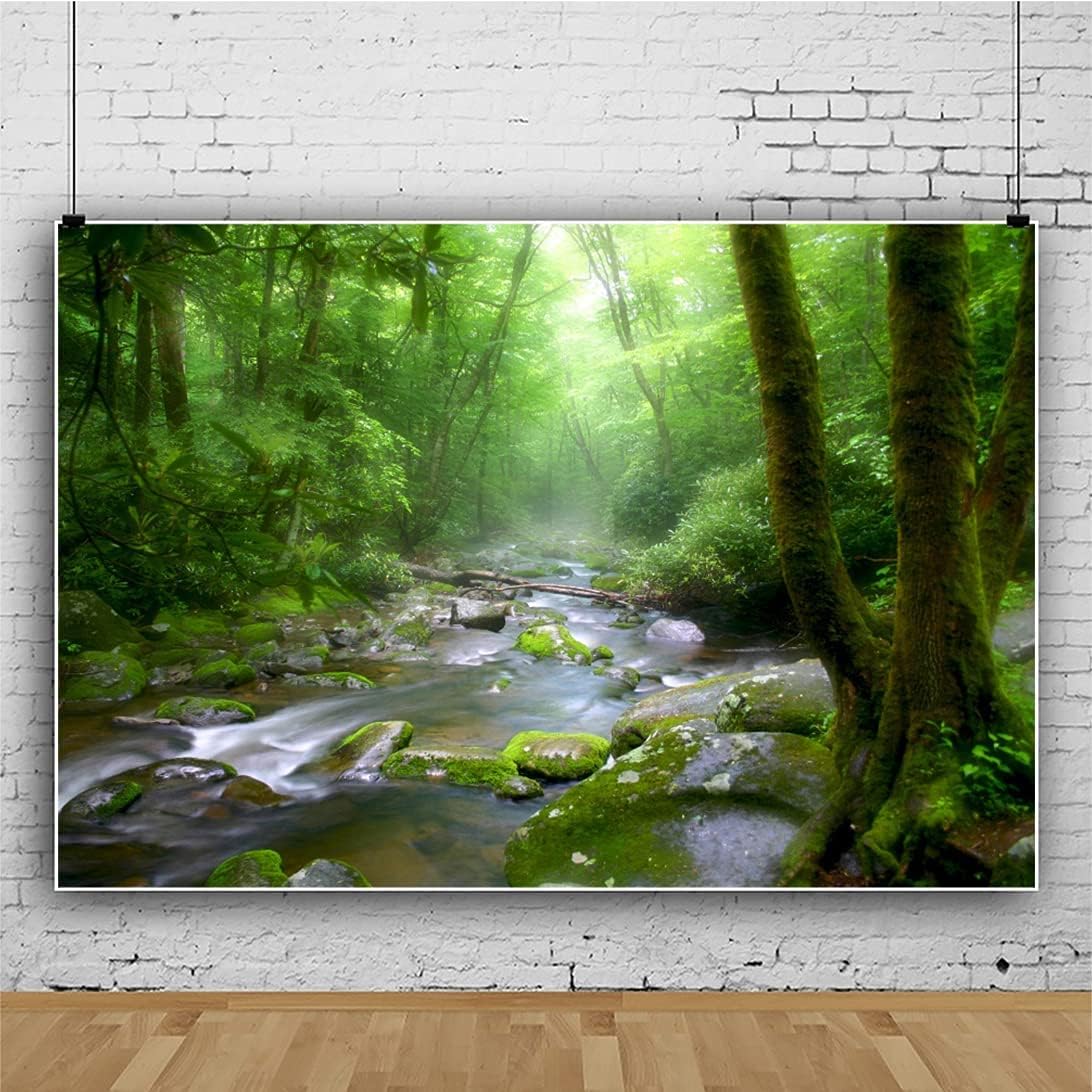 OERJU 7x5ft Peaceful Forest Photography Backdrop for Outdoor Rustic Travel Theme Banner Decoration Stones Stream Trees Rainforest Jungle Plant Background Polyester Fabric Adults Portrait Photo