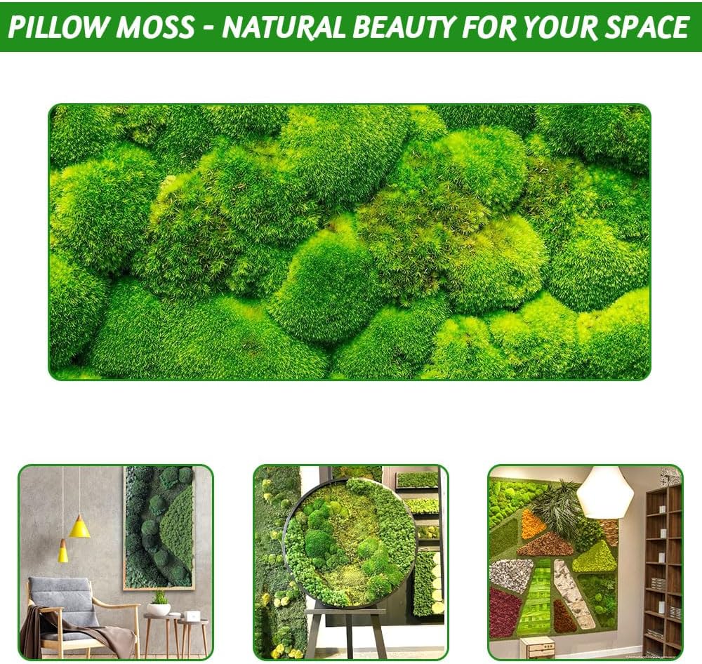 TCYPUHL Preserved Pillow Moss Bulk (1 Sq.Ft Dark Green) - Natural Cushion Moss for Wall Art, Home Decor - Christmas Crafts, Holiday Decorations and Gift Giving DIY Craft, Floral Arrangements