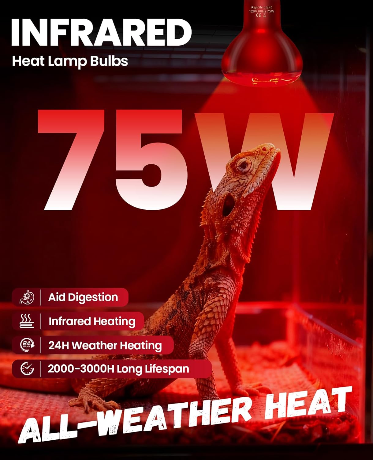 KINDEEP Infrared Heat Lamp Bulbs: 75W Reptile Heat Light 2 Pack - Red Basking Spot Light Bulbs Reptile Heating lamp for Lizard Bearded Dragon Turtle Snake Leopard Gecko Tortoise Chickens