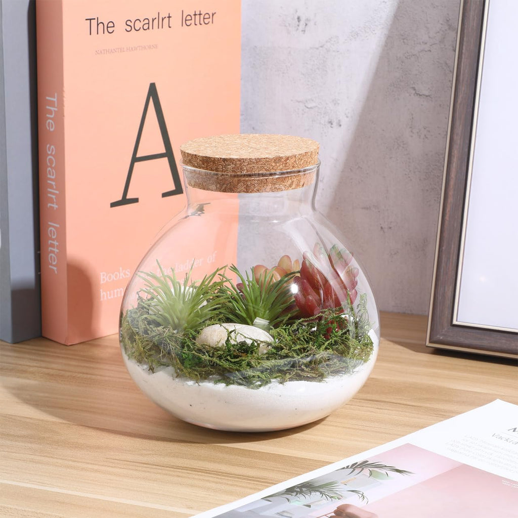 YARNOW Glass Terrarium Jar with Cork Lid, Round Transparent Micro Landscape Bottle for Moss, Succulents, and Home Decor, 5.5 Inch