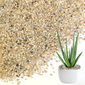 HappyFiller 2 LB Natural Coarse Sand Real Silica Sand Vase Filler,Arts Crafts,Beach Theme,Wedding Ceremony,Home Decoration,Aquarium Tank,Fire Pits,Succulents Plants,Animal Bedding,Zen Garden