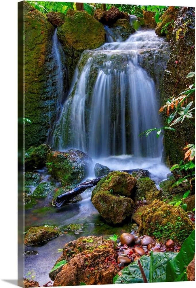 CANVAS ON DEMAND Waterfall in Tropical Rainforest of Fairchild Tropical Gardens, Canvas Wall Art Print, Home Decor, Floral, Flowers, Nature Artwork, 20" x30in