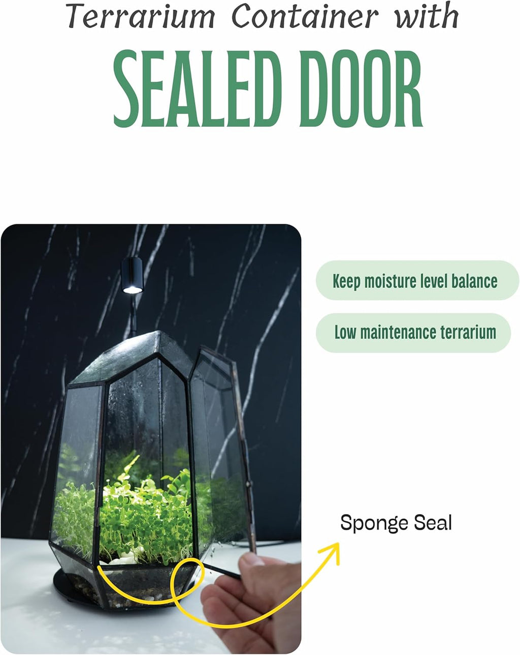 KraftStories Clear Glass Terrarium with Door | Geometric Design Container | Ideal Planter for Moss and Indoor Plants | Maintains Humidity | Self-Sustaining Indoor Garden Ecosystem (Only Terrarium)