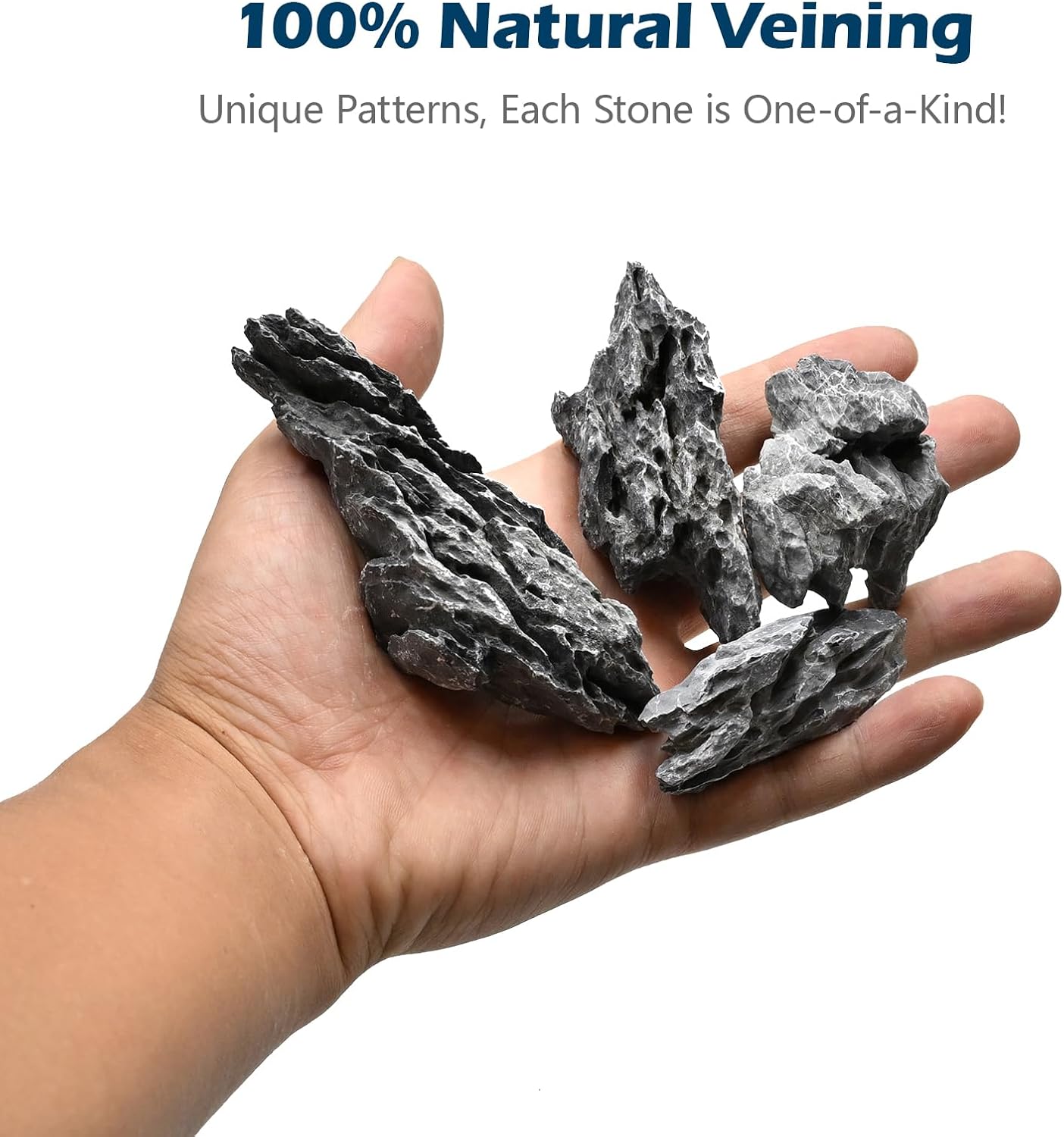 Natural Rocks Seiryu Stone 1-2 Inches Decorative Stones for Fairy Gardens,Miniature Landscaping,Bonsai,DIY Crafts, Aquariums & Reptile Terrariums-1lb