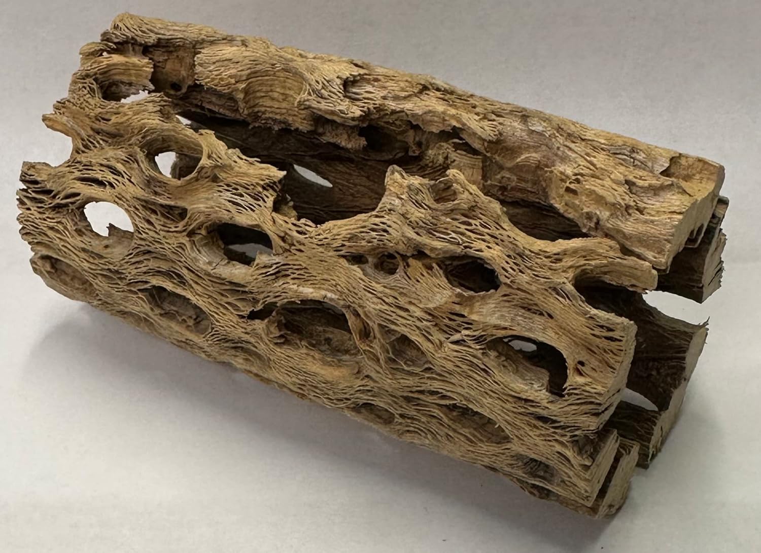 Natural Cholla Wood Chunk Air Plant Display Holders Individually Unique Decorative Stands Holder (Cholla Chunk)