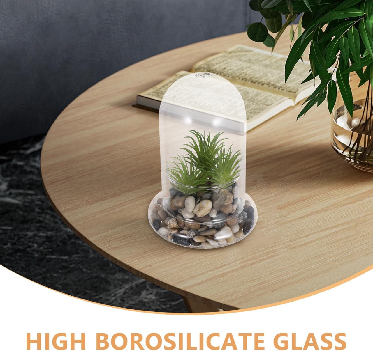 Yardwe 2 Pcs Bell Glass Bottle Cloche Dome Glass Storage Container Dome Cloche with
