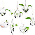 Zopeal Wall Hanging Glass Planter Terrarium Propagation Station Vase Container Watering Squeeze Bottle with Rope and Hook for Hydroponic Plants Flower Home Decor(Classic Style,6 Sets)