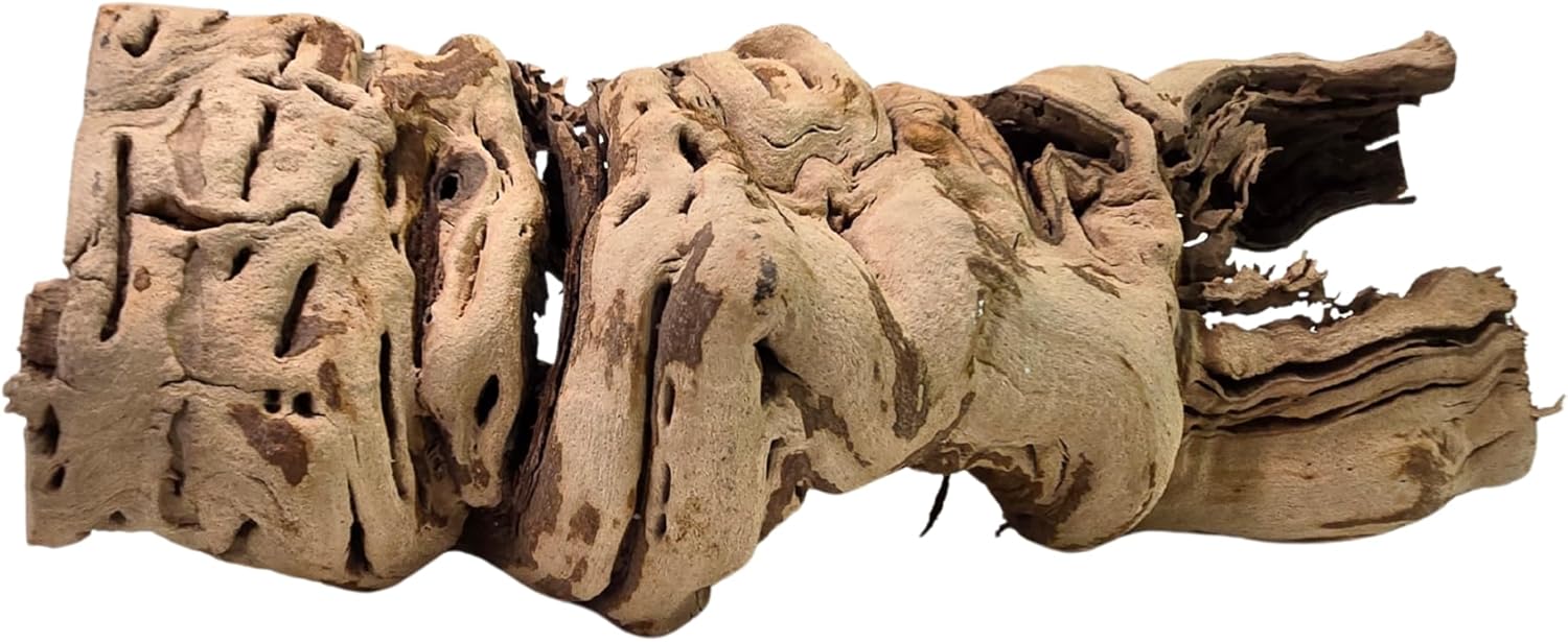 Koyal Wholesale 18" Hollow Grapewood Branch Decor 1Pcs Grapewood Centerpiece Vase Air Plants Sand Blasted Grapevine Wood Untreated Terrarium Wood Driftwood Decor