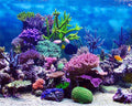 AOFOTO 10x8ft Coral and Fish Under Sea Backdrop Aquarium Underwater World Tropical Seabed Atoll Reef Background for Photography Marin Ocean Diving Summer Boy Girl Portrait Photo Studio Props Vinyl