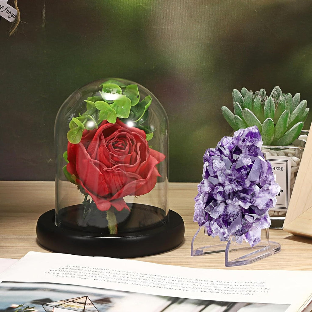 JUXYES Clear Watch Glass Display Dome Cloche with Display Stand, Clear Terrarium Jar Cloche Bell with Wooden Base, Glass Display Dome for Pocket Watches Medals Coins Ornaments