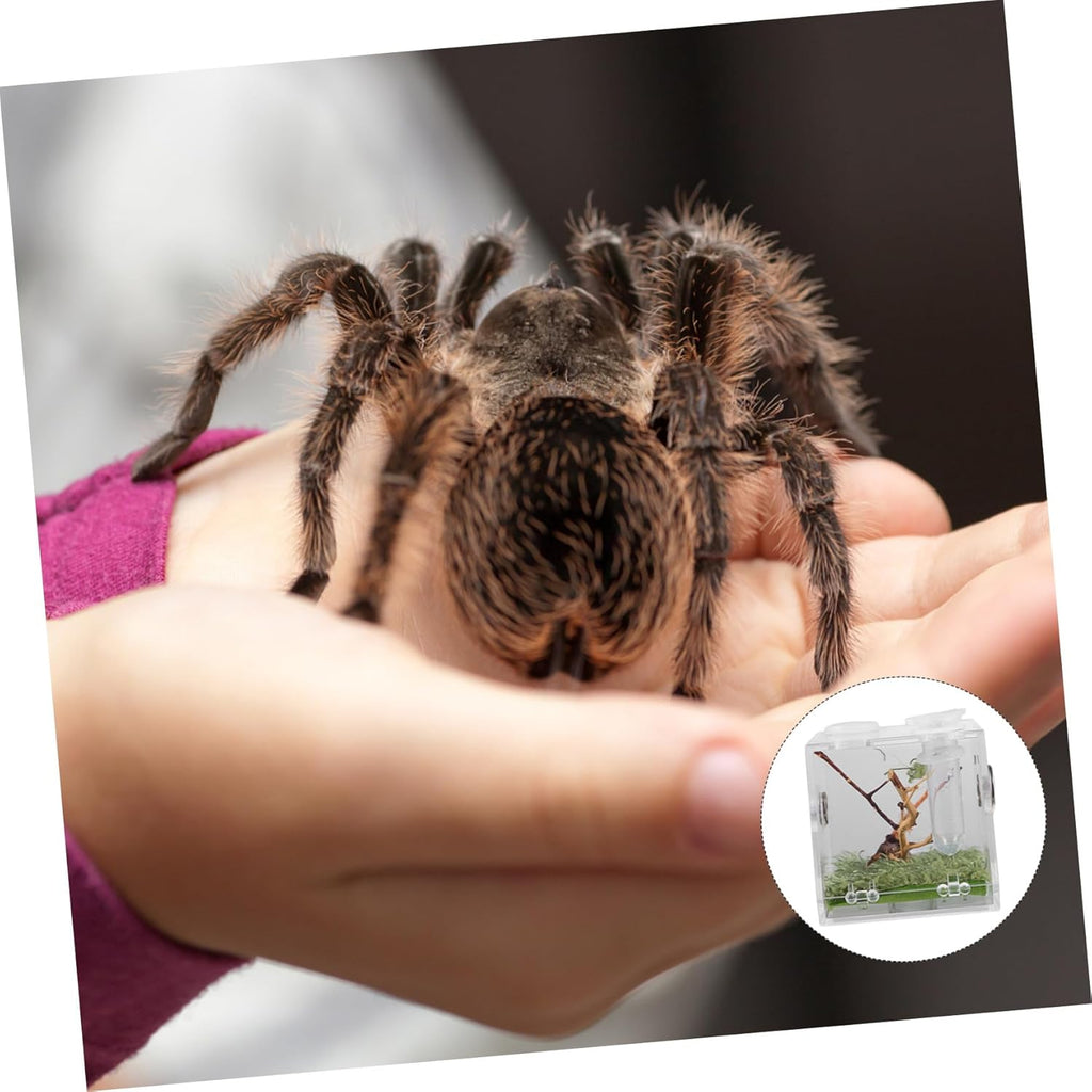 GANAZONO Transparent Acrylic Reptile Terrarium Box with Dropper and Forceps Pet Breeding Cage for Jumping Spiders and Small Insects Portable Habitat with Spacious Design and Easy