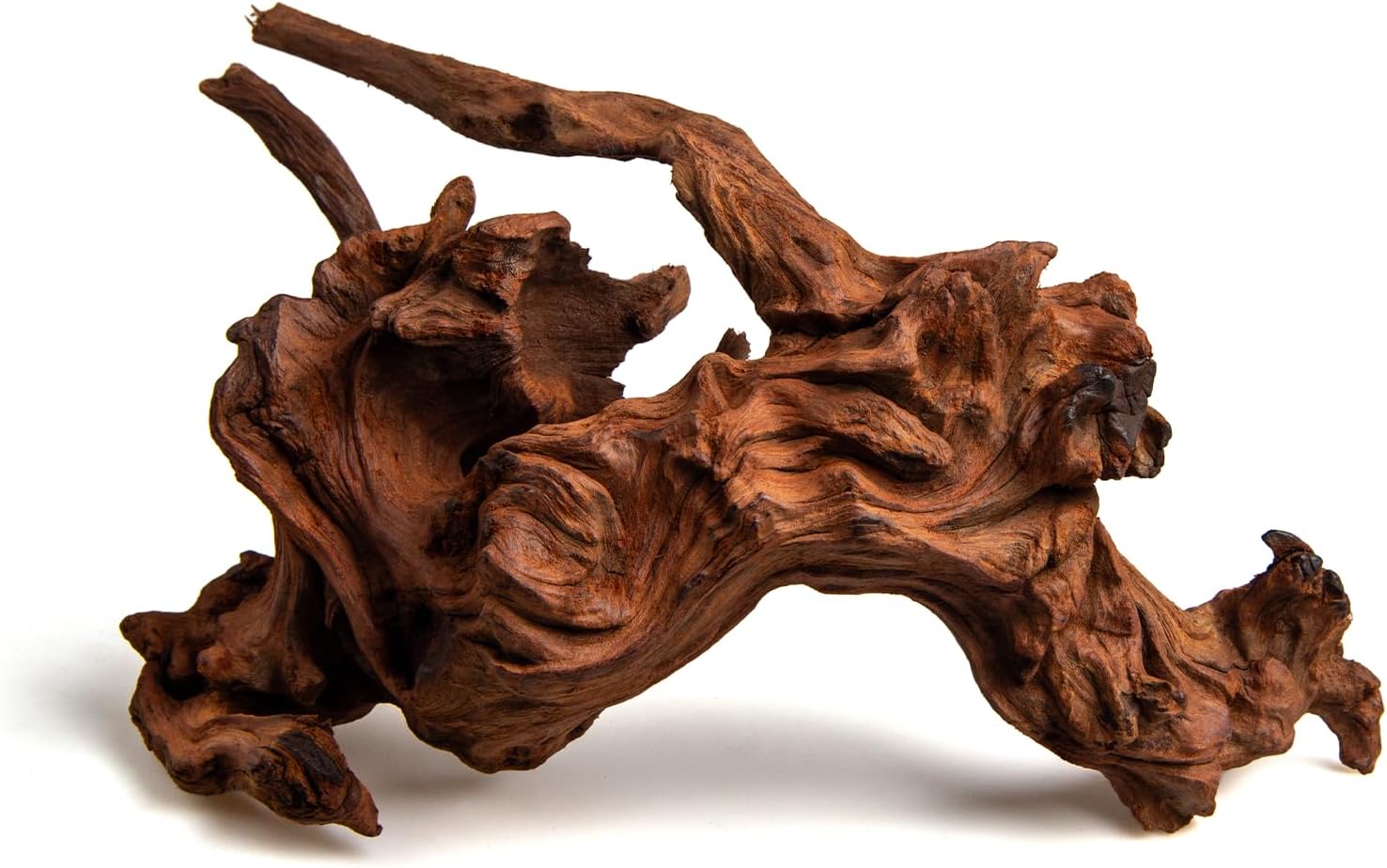 emours Aquarium Driftwood, 2 Pieces, Natural Mopani Style Branches, Low-Tannin & Smooth Edges, Sink Faster After Soak, Tie Moss Easily, for Planted/Shrimp/Betta Tanks (Small (8–12 in / 20–30 cm))