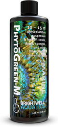 Brightwell Aquatics PhytōGreen-M Marine Phytoplankton for Reef Aquariums – Supports Corals, Sponges, Clams, Tube Worms & Filter Feeders – Amino Acids, EPA, 125 ml