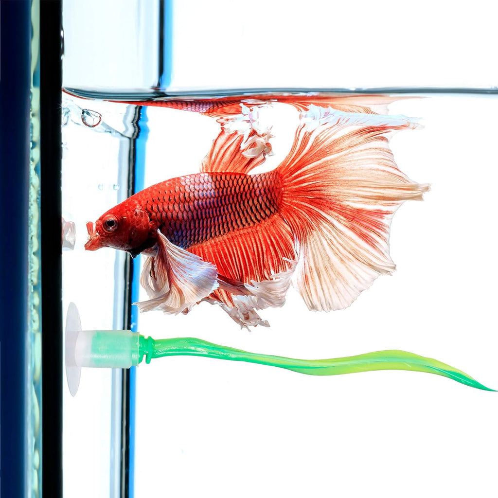WILLBOND 2 Pieces Silicone Betta Fish Bed Leaf Hammock Betta Fish Tank Accessories, Practical Resting Spot, No Bpa, Comfortable and Safe(Green)